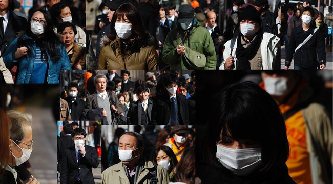 La fiebre del heno en Japón: una epidemia moderna y su impacto global