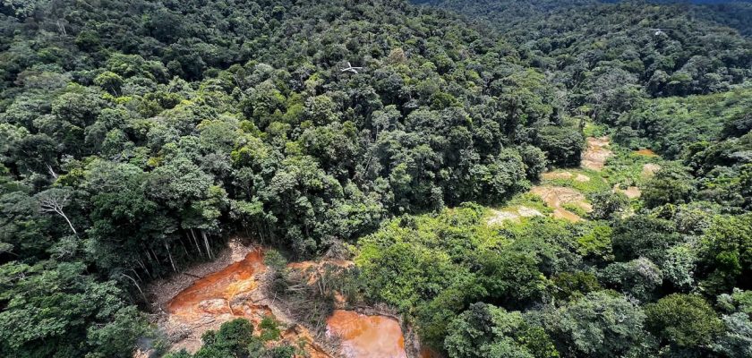 tráfico de oro en la amazonía: ¿hasta dónde llegarán los límites de la codicia humana?