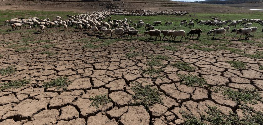 La urgente necesidad de proteger nuestros recursos hídricos: el futuro del agua en Europa