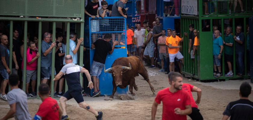 La reciente victoria de la cultura taurina en Valencia: ¿más que un simple festejo?