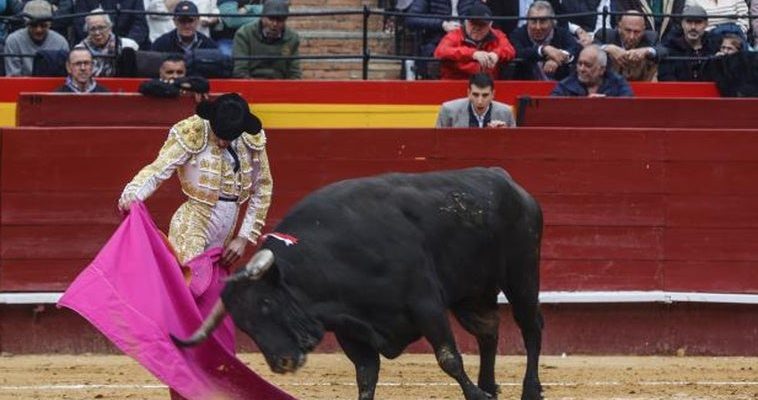 Nuevos vientos en la tauromaquia: el innovador modelo empresarial de OneToro para retransmisiones