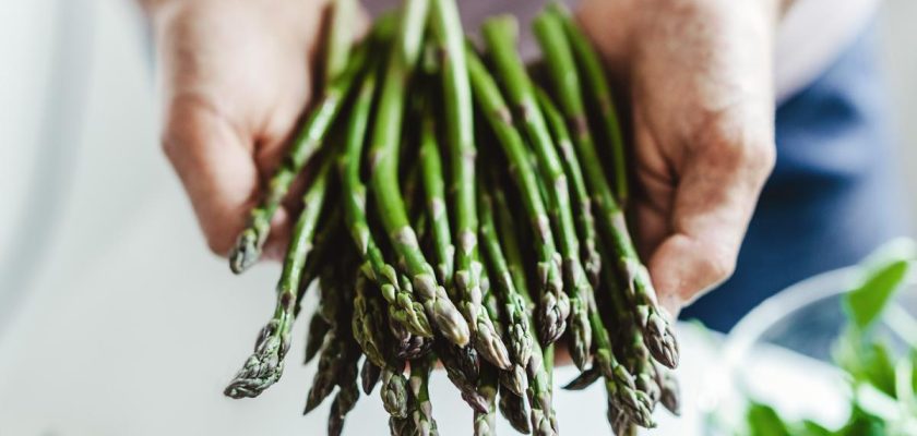 Deliciosos espárragos: recetas imprescindibles para disfrutar de su temporada