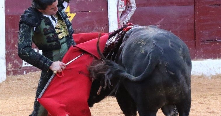 La feria de Olivenza: emociones, orejas y un espectáculo inolvidable en el coso de la tradición