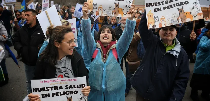 Veterinarios en pie de guerra: el polémico decreto sobre antibióticos en España