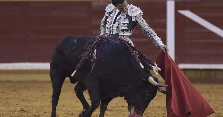 La feria taurina de Illescas: un análisis de los toreros, los toros y lo que significa ser aficionado