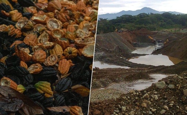 Minería ilegal de oro en Ghana: el oscuro lado del chocolate y su futuro incierto