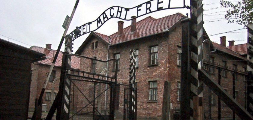 Incidente en Auschwitz: un estudiante israelí y el peligro de la ignorancia histórica