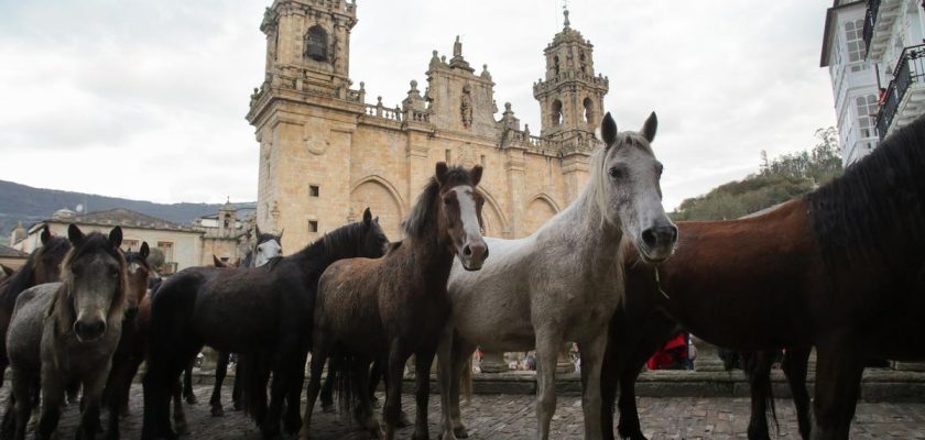 El resonar de las campanas: un legado sonoro ante la modernidad