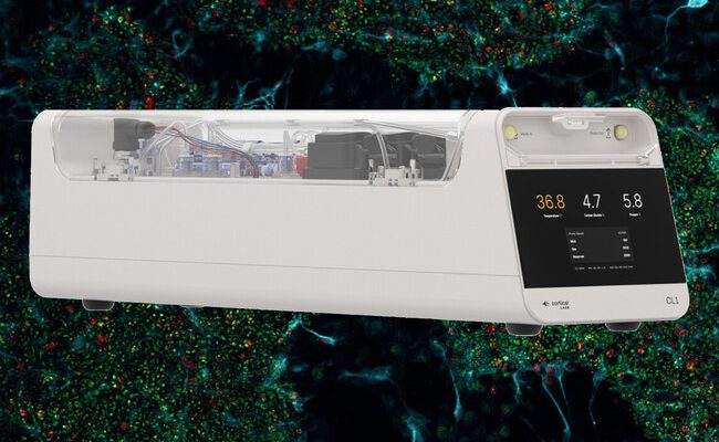 El asombroso auge de CL1: el primer ordenador biológico de Cortical Labs