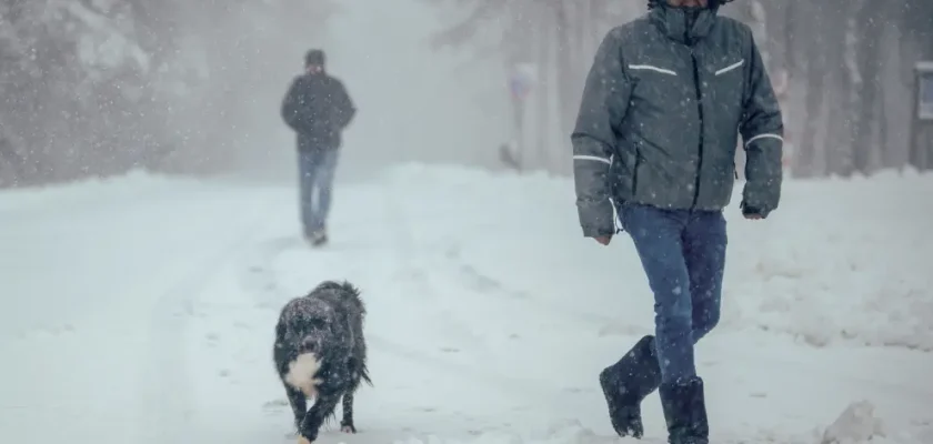 La alerta de nieve en la Sierra de Madrid: lo que necesitas saber y cómo prepararte