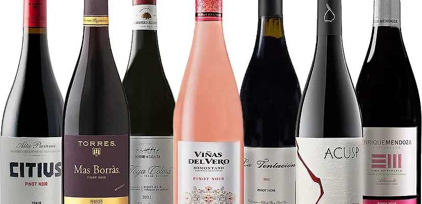 La sorprendente evolución de la pinot noir en España: vinos que desafían las expectativas